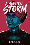 Book cover of SUDDEN STORM