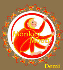 Book cover of MONKEY MOON