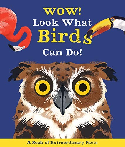Book cover of WOW LOOK WHAT BIRDS CAN DO