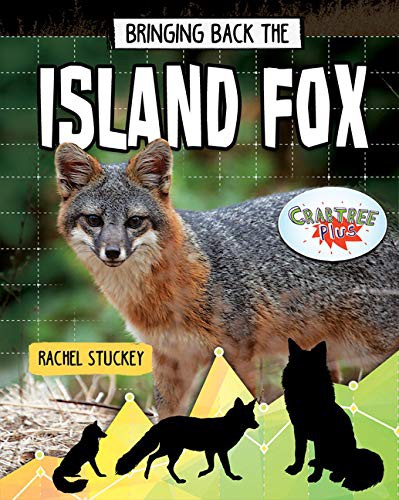 Book cover of BRINGING BACK THE ISLAND FOX