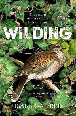 Book cover of WILDING - THE RETURN OF NATURE TO A BRIT