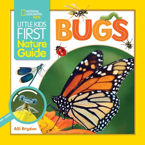 Book cover of LITTLE KIDS 1ST NATURE GUIDE BUGS