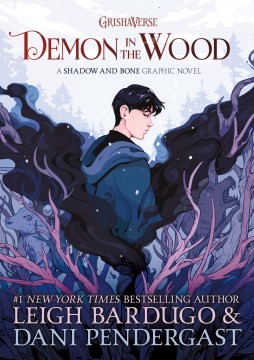 Book cover of SHADOW & BONE - DEMON IN THE WOOD GN