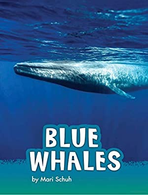 Book cover of BLUE WHALES