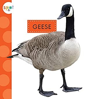 Book cover of SPOT BACKYARD ANIMALS GEESE