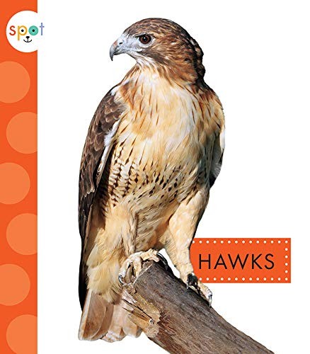 Book cover of SPOT BACKYARD ANIMALS HAWKS