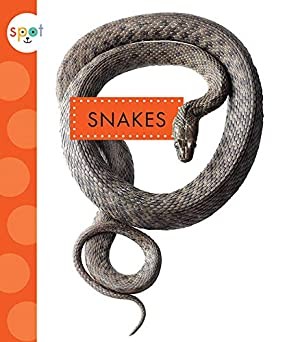 Book cover of SPOT BACKYARD ANIMALS SNAKES