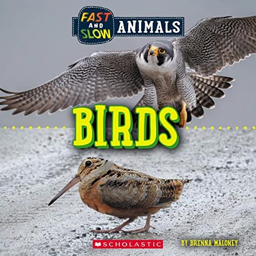Book cover of FAST & SLOW - BIRDS WILD WORLD