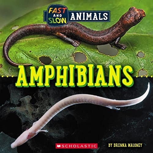 Book cover of FAST & SLOW - AMPHIBIANS WILD WORLD