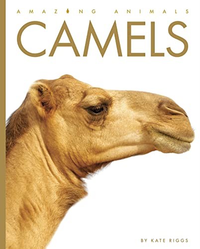 Book cover of CAMELS