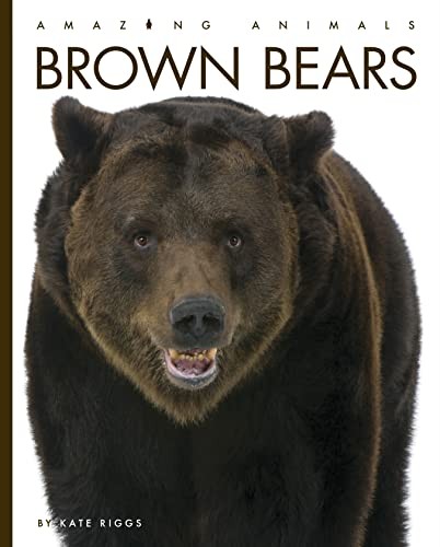 Book cover of BROWN BEARS