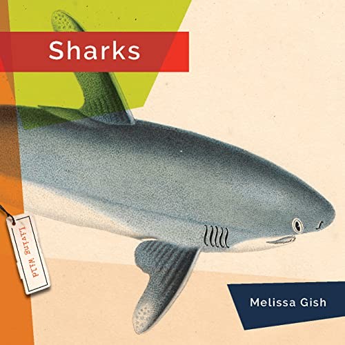 Book cover of SHARKS