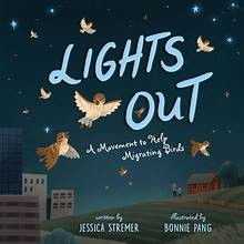 Book cover of LIGHTS OUT