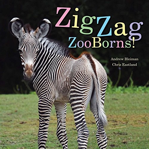 Book cover of ZIGZAG ZOOBORNS