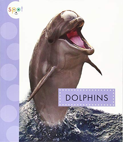Book cover of SPOT OCEAN ANIMALS DOLPHINS