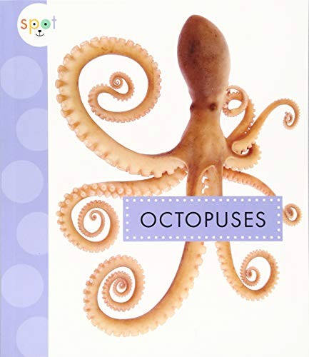 Book cover of SPOT OCEAN ANIMALS OCTOPUSES