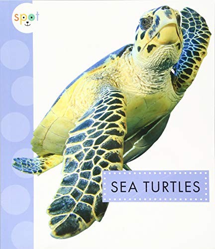 Book cover of SPOT OCEAN ANIMALS SEA TURTLES