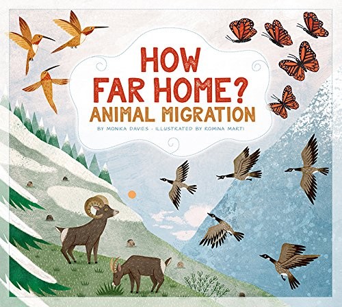Book cover of HOW FAR HOME
