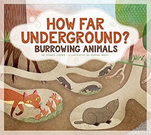Book cover of HOW FAR UNDERGROUND
