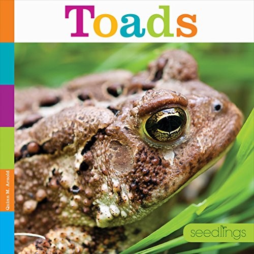 Book cover of TOADS