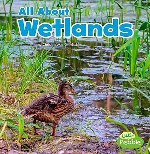 Book cover of ALL ABOUT WETLANDS