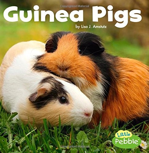 Book cover of GUINEA PIGS