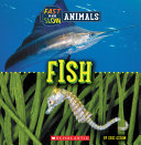 Book cover of FAST & SLOW - FISH WILD WORLD