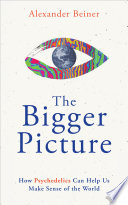 Book cover of BIGGER PICTURE