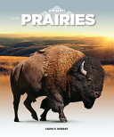 Book cover of IN THE PRAIRIES