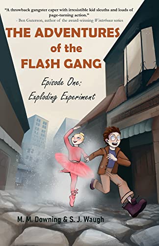 Book cover of ADVENTURES OF THE FLASH GANG