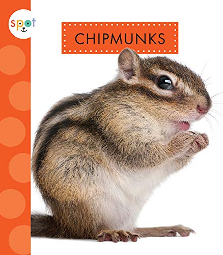 Book cover of SPOT BACKYARD ANIMALS CHIPMUNKS