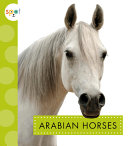 Book cover of ARABIAN HORSES