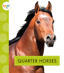 Book cover of QUARTER HORSES