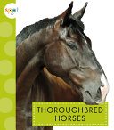 Book cover of THOROUGHBRED HORSES