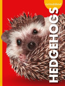 Book cover of CURIOUS ABOUT HEDGEHOGS
