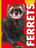 Book cover of CURIOUS ABOUT FERRETS