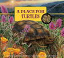 Book cover of PLACE FOR TURTLES