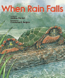Book cover of WHEN RAIN FALLS