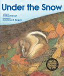 Book cover of UNDER THE SNOW