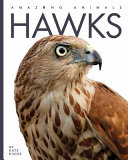 Book cover of HAWKS