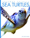 Book cover of SEA TURTLES
