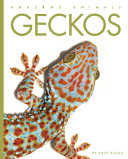 Book cover of GECKOS