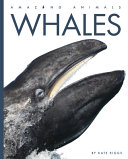 Book cover of WHALES