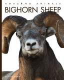 Book cover of BIGHORN SHEEP