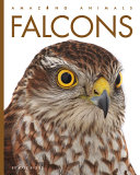 Book cover of FALCONS