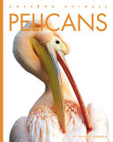 Book cover of PELICANS