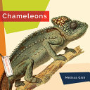 Book cover of CHAMELEONS