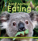 Book cover of BABY ANIMALS EATING