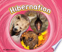Book cover of HIBERNATION