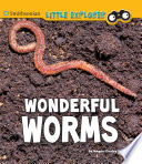 Book cover of WONDERFUL WORMS